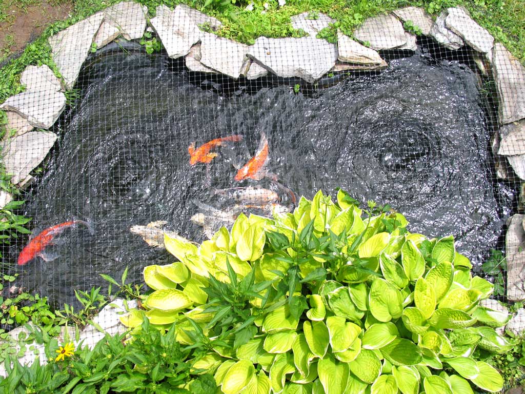 172pond2.jpg
