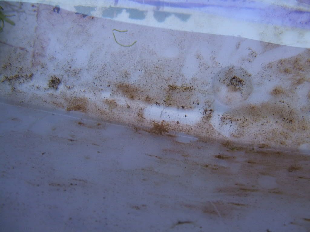 DSCF0370.jpg