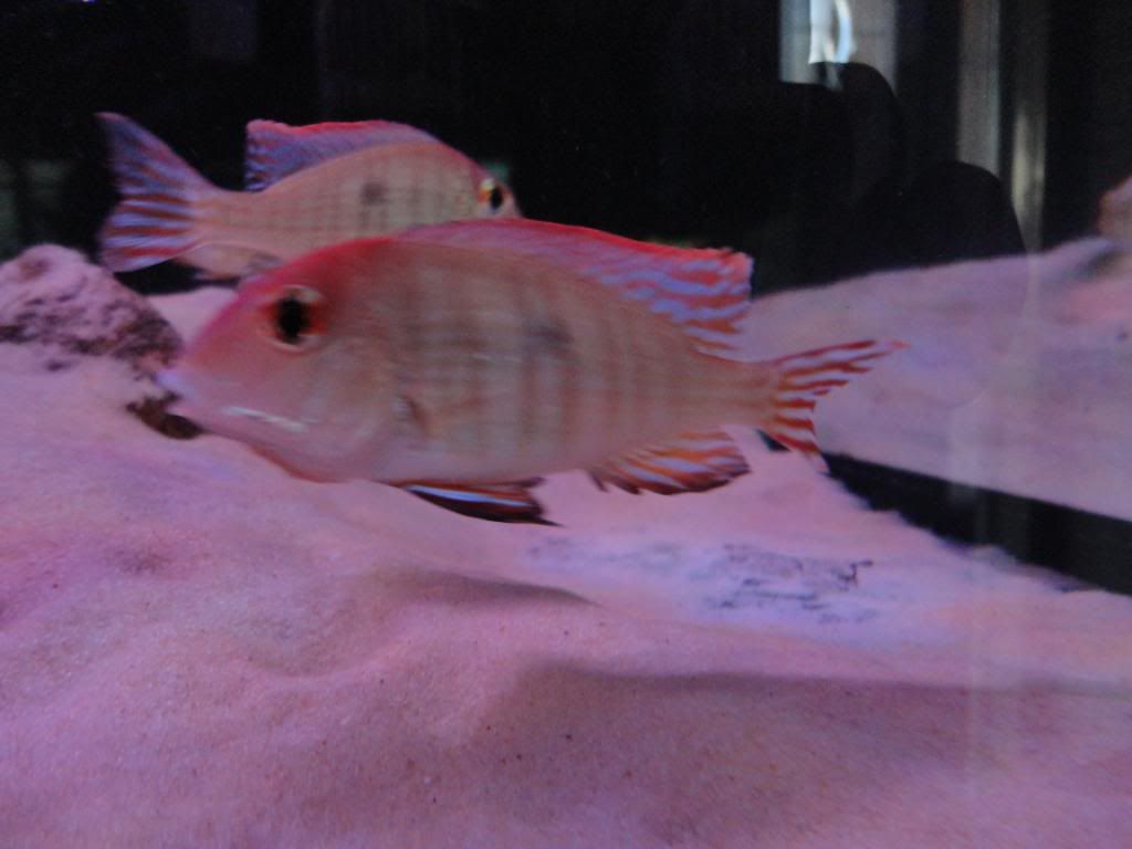 DSC01269.jpg