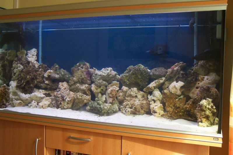 REEF.jpg