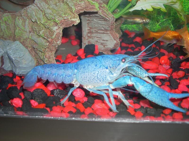 DSCN1278.jpg