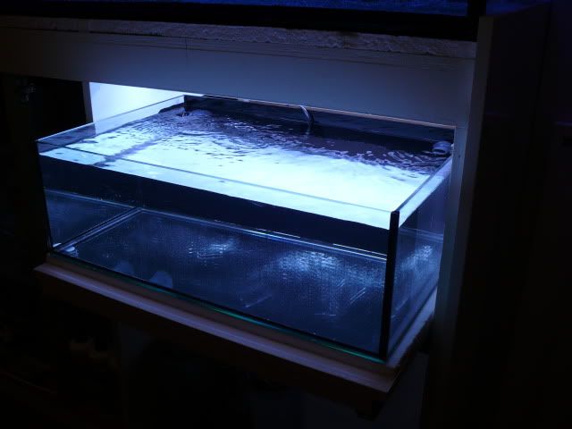 P1060271.jpg