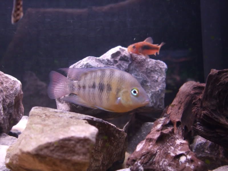 DSCF2056.jpg