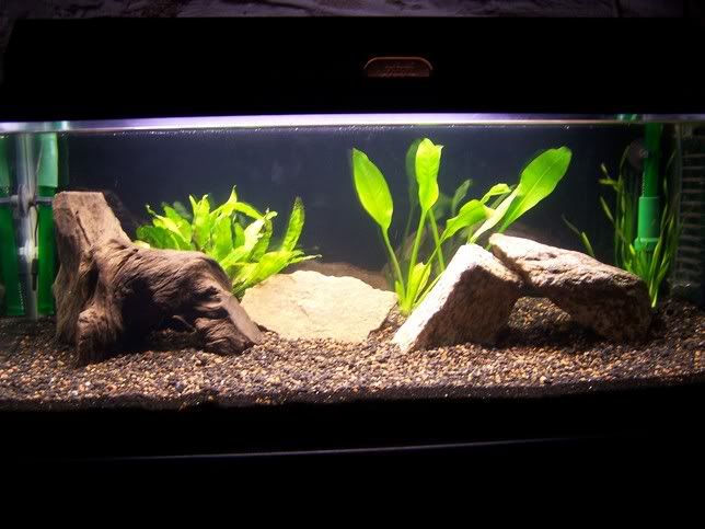 Tank2.jpg