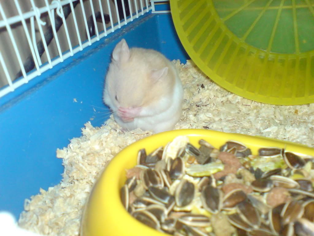 DSC01386.jpg