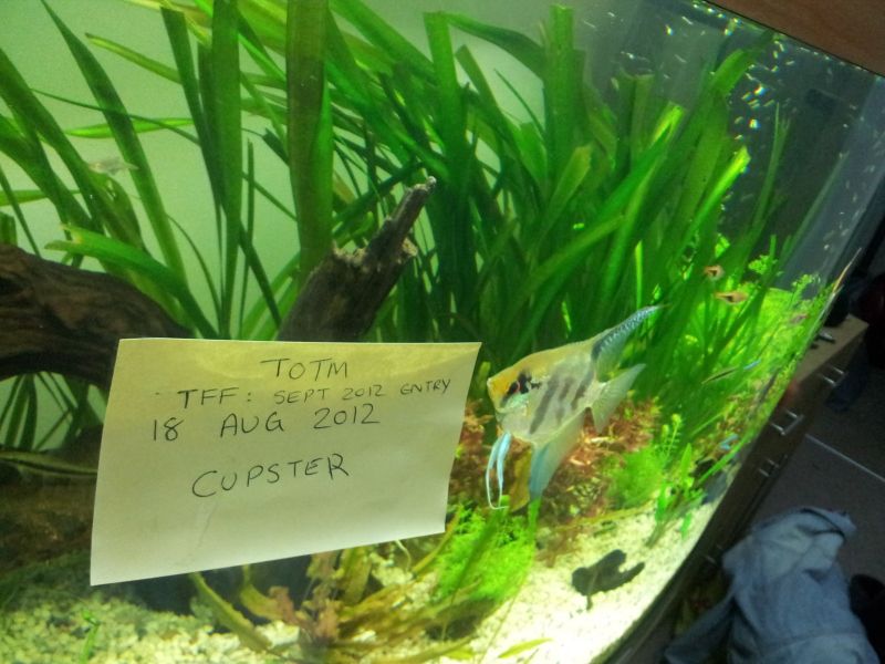 20120818_212407.jpg
