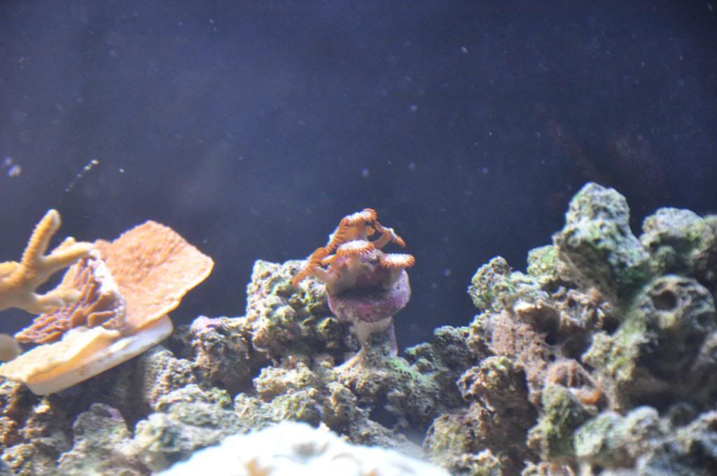 fishpictures048.jpg