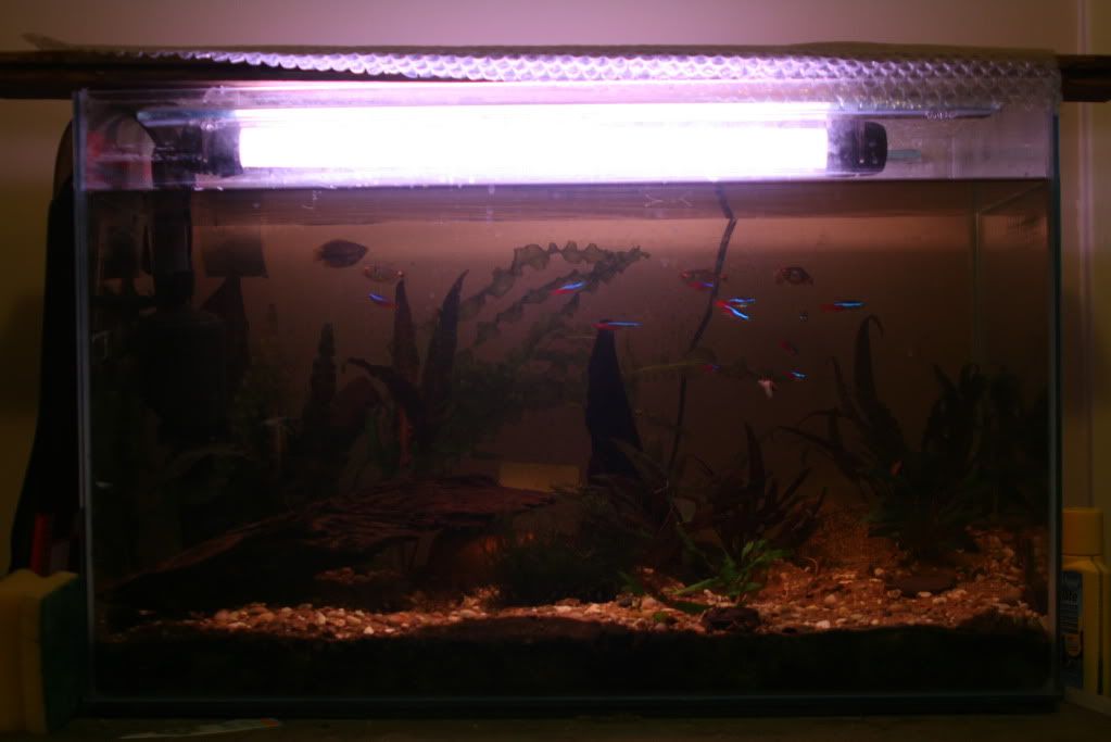 tank007.jpg