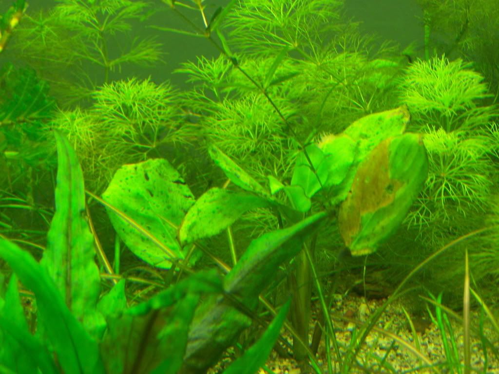 100_5366.jpg