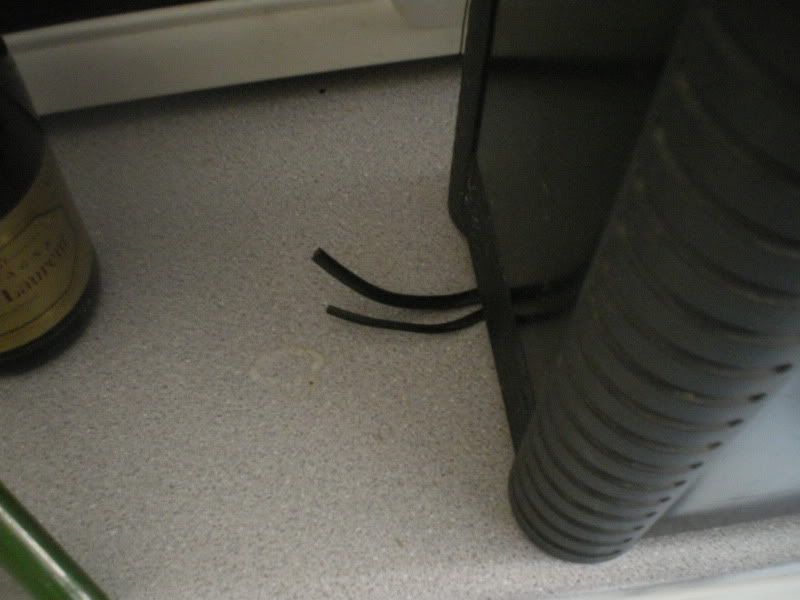 IMGP0038.jpg
