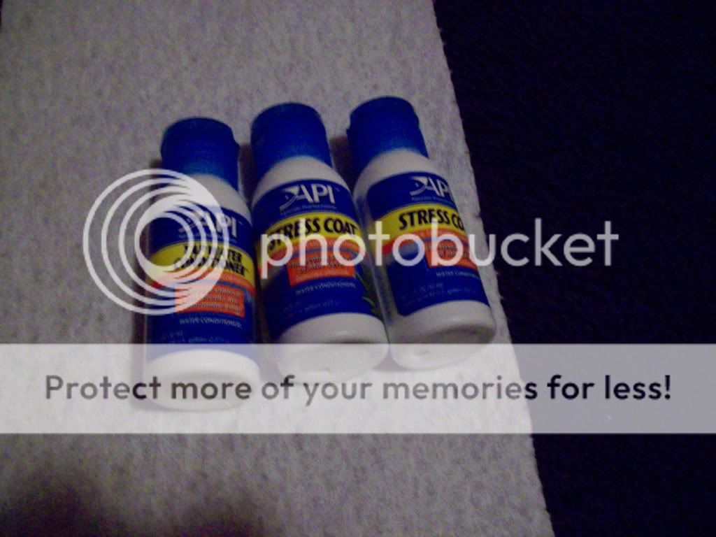 027-6.jpg