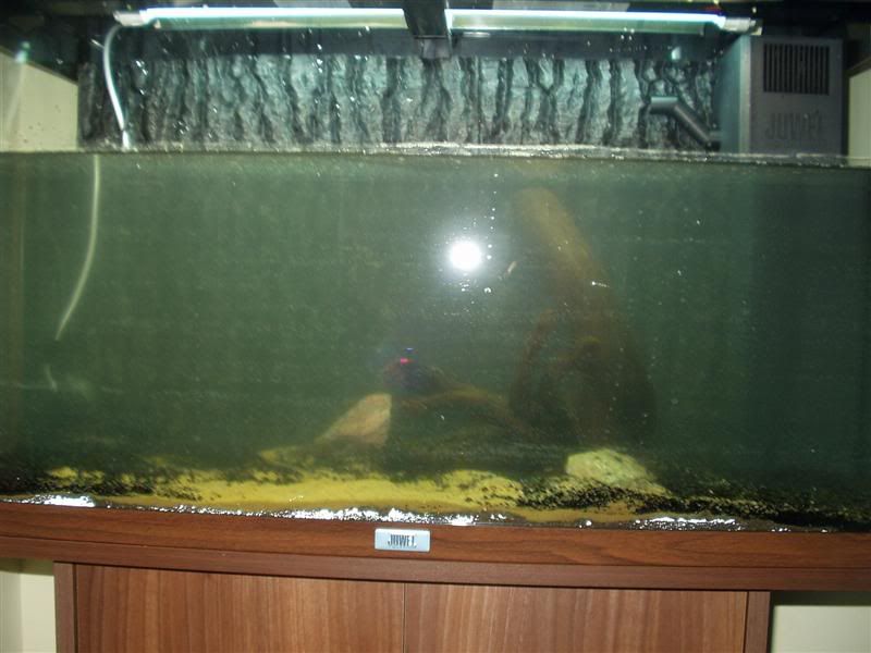 P1010240Medium.jpg