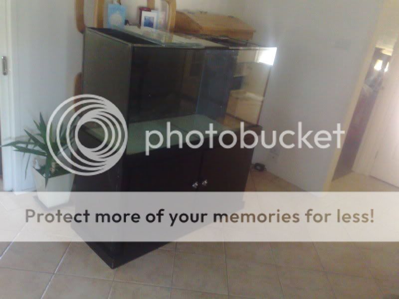 28082009923.jpg