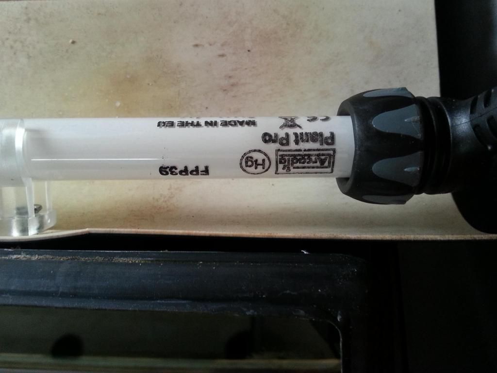 20130124_123239_zps425e2529.jpg