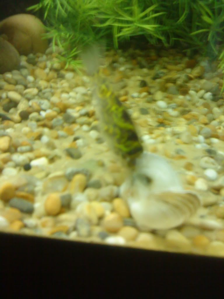 DSC01227.jpg