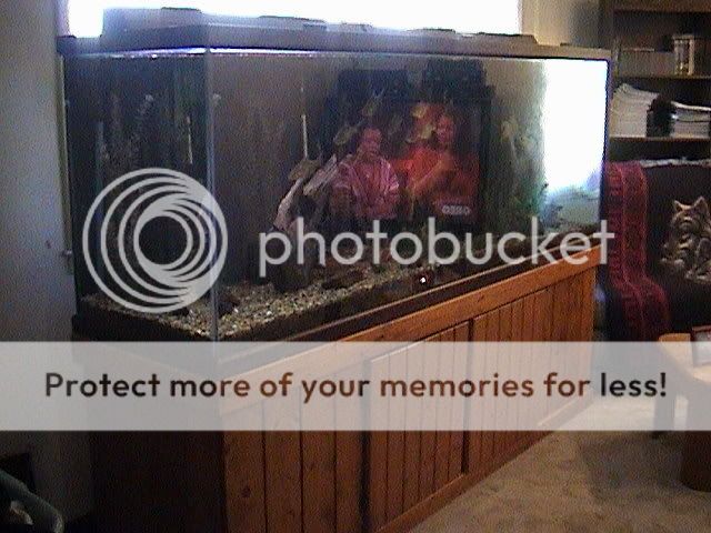 Aqua1.jpg