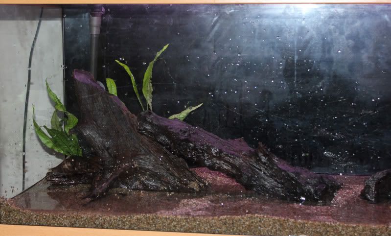 2newscape.jpg