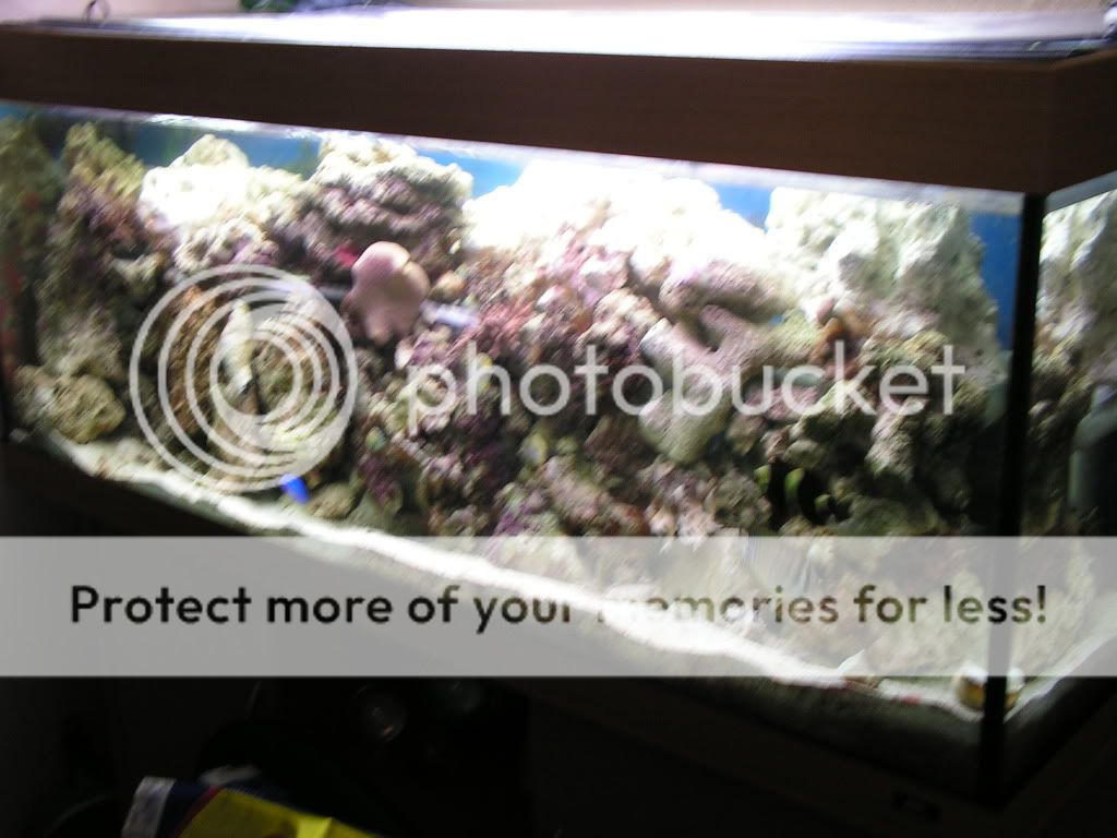PICT0259.jpg