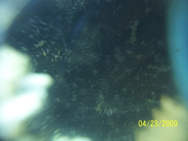 100_5447.jpg