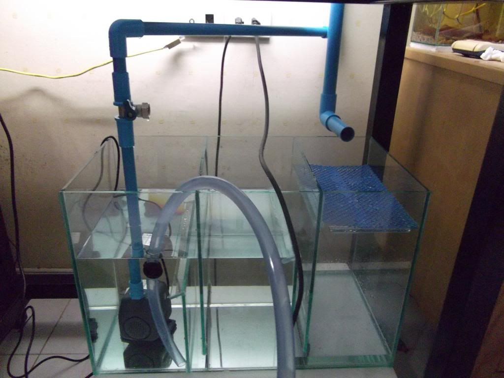 DSCF1508.jpg
