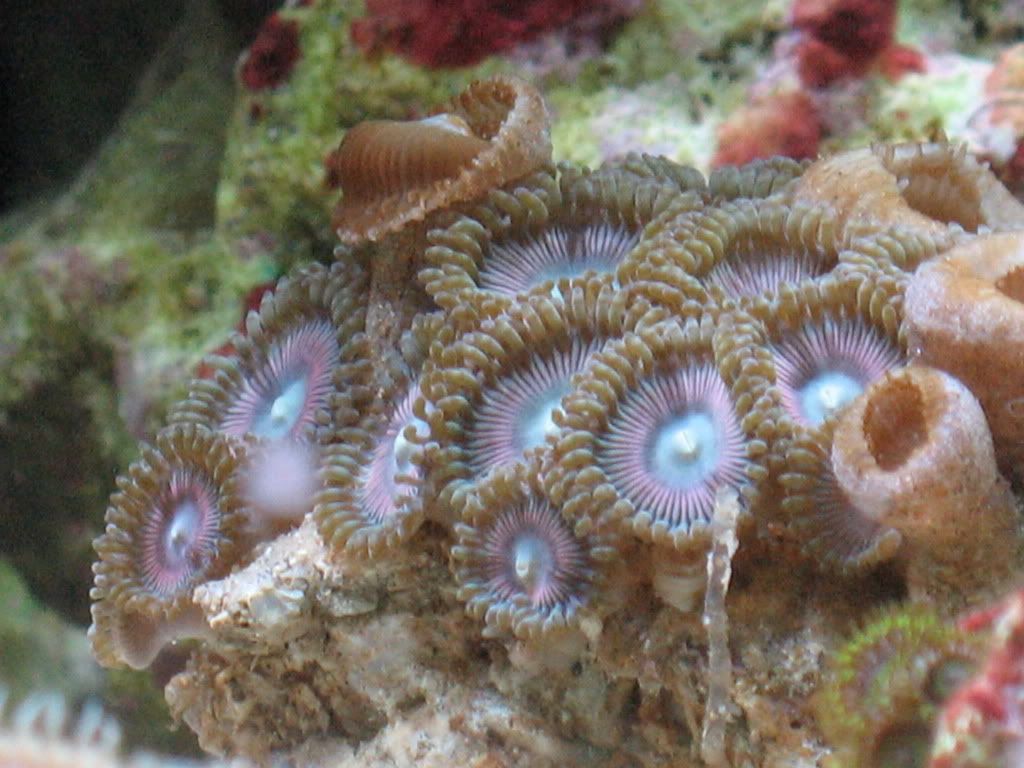 IMG_1966.jpg