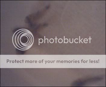 Cam00004-5.jpg