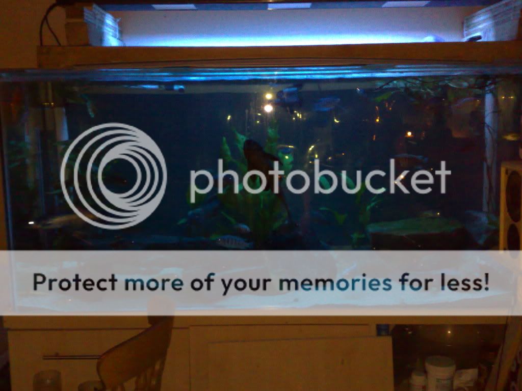 01072009484.jpg