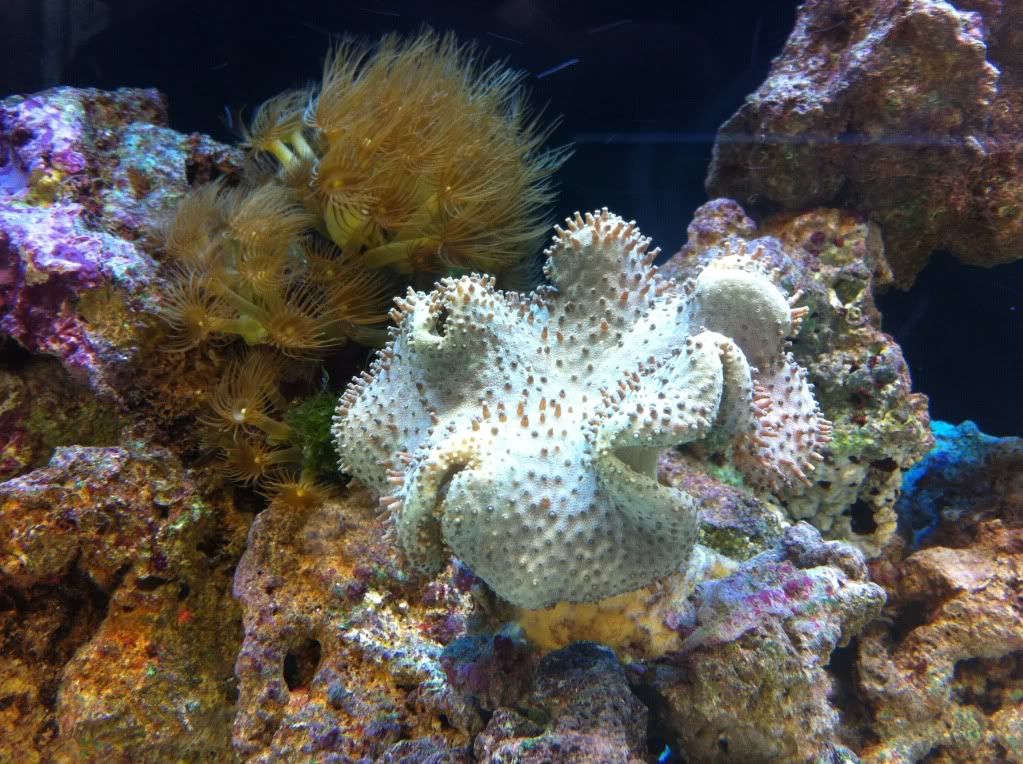 IMG_1106.jpg