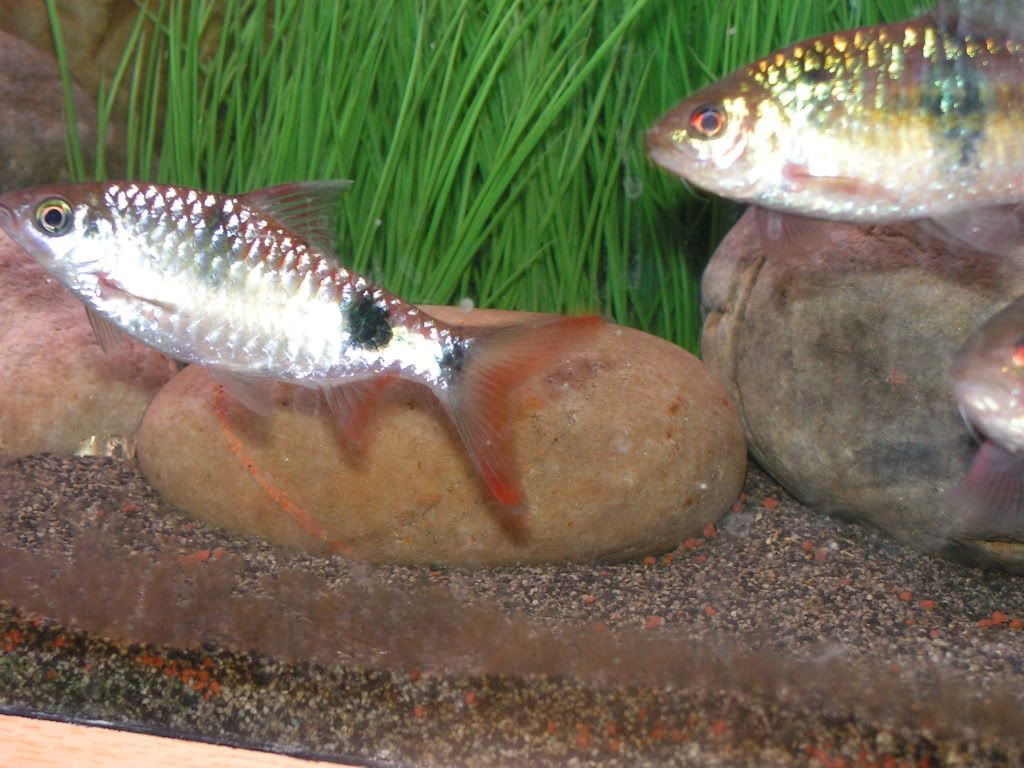 PICT1500.jpg