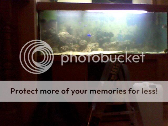 Image_00005.jpg