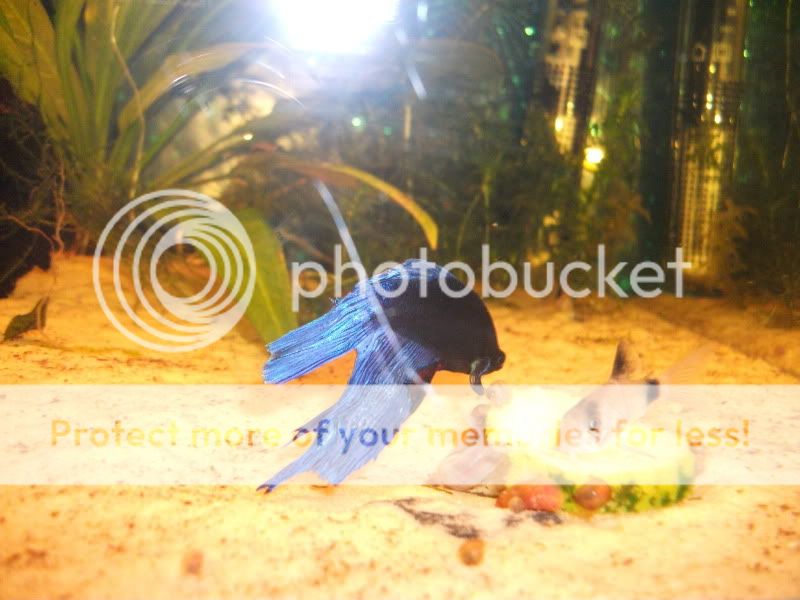 DSCF2903.jpg