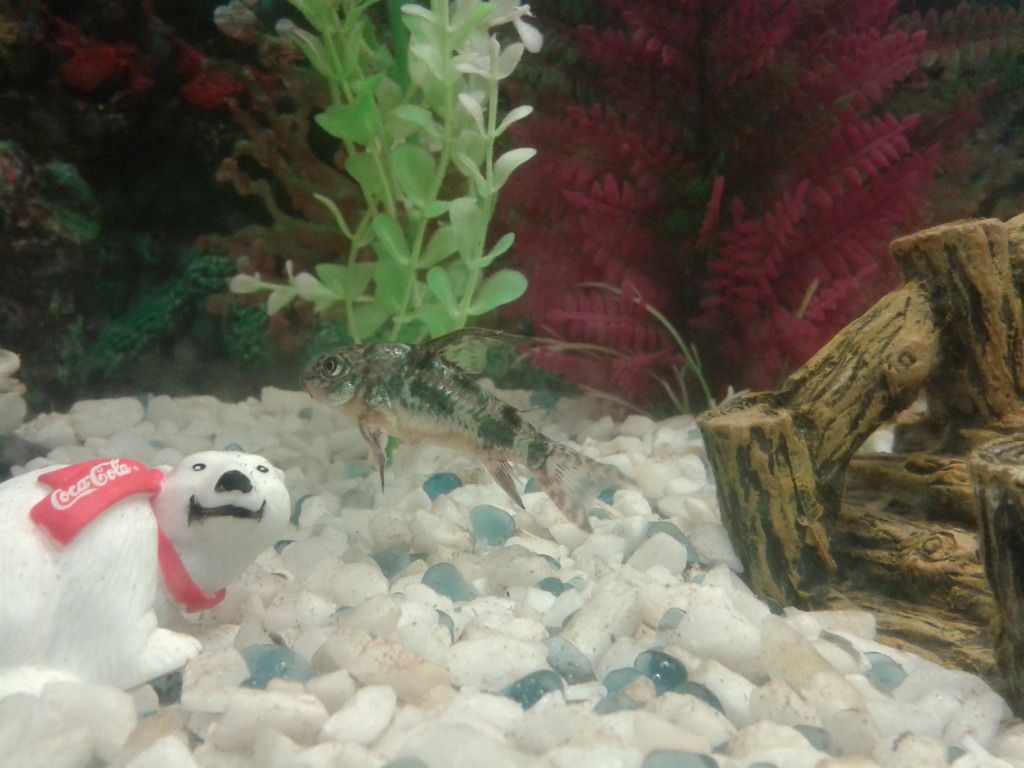 20120926_144428.jpg
