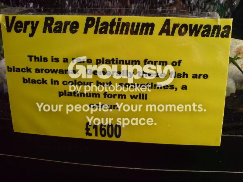 pricetag.jpg