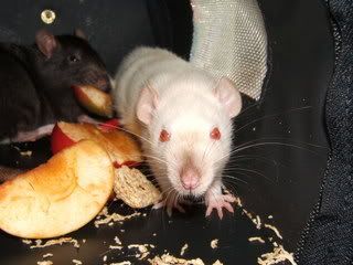 DSCF2842.jpg