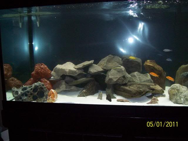 102_3637Small.jpg