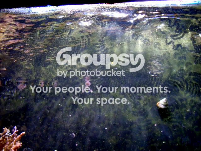 DSCF2028.jpg