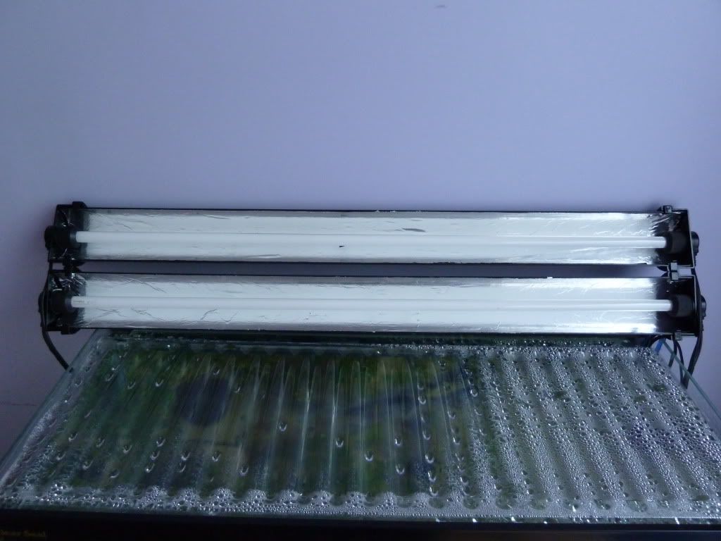 P1000673.jpg