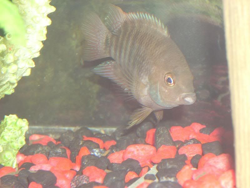 DSCN1122.jpg