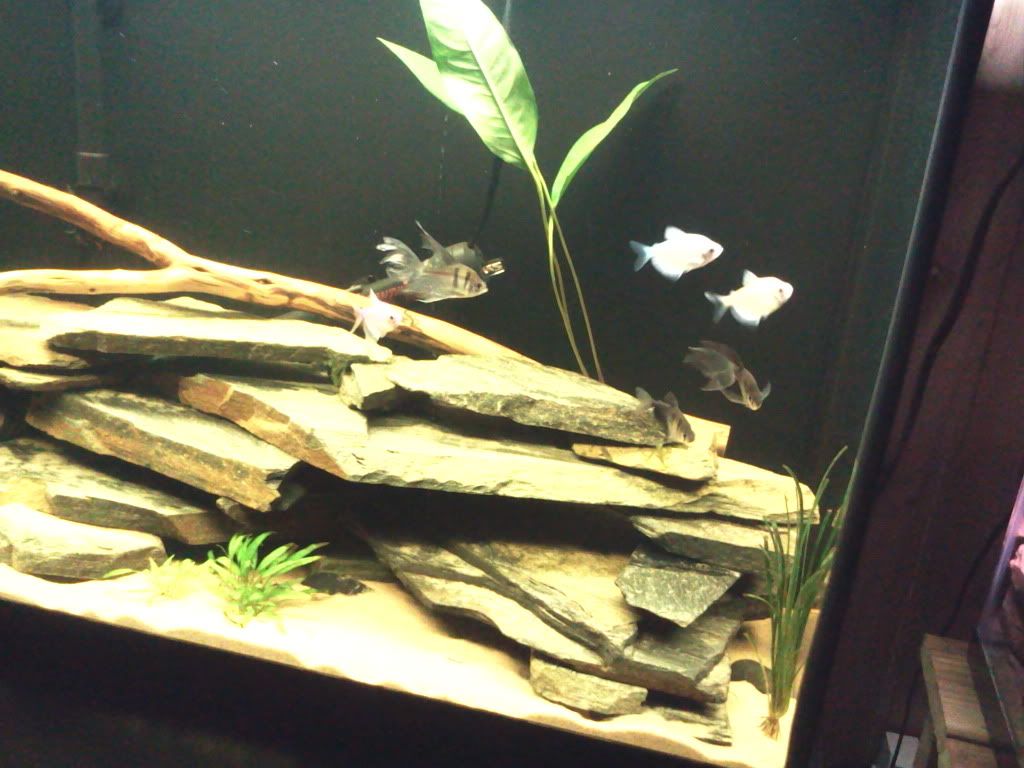 2012-04-23205302.jpg