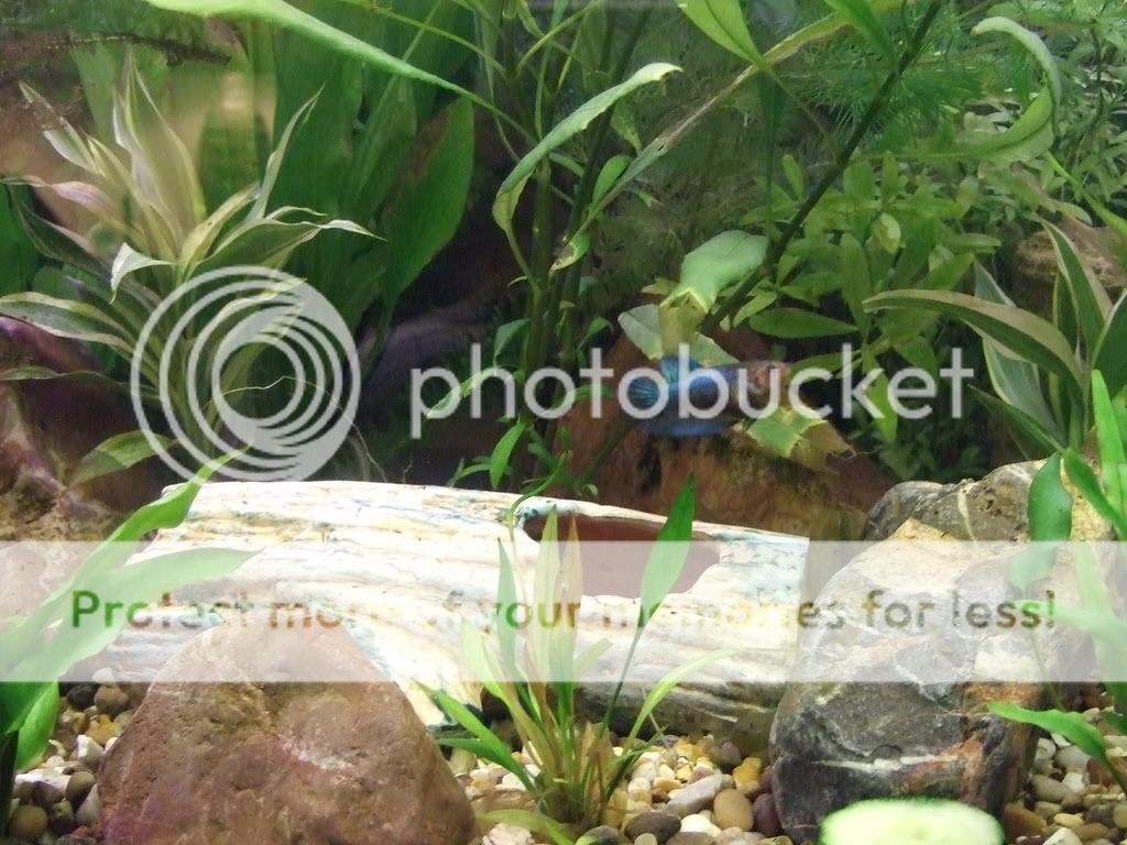 DSCF6029.jpg