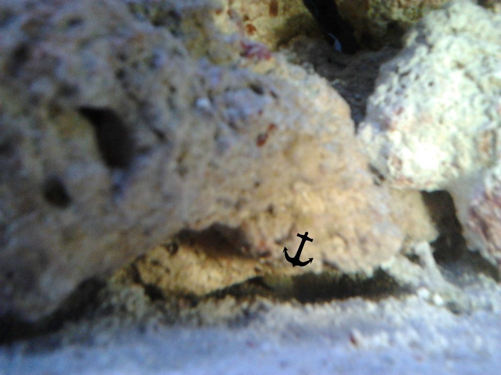 2012-06-03153013-1.jpg