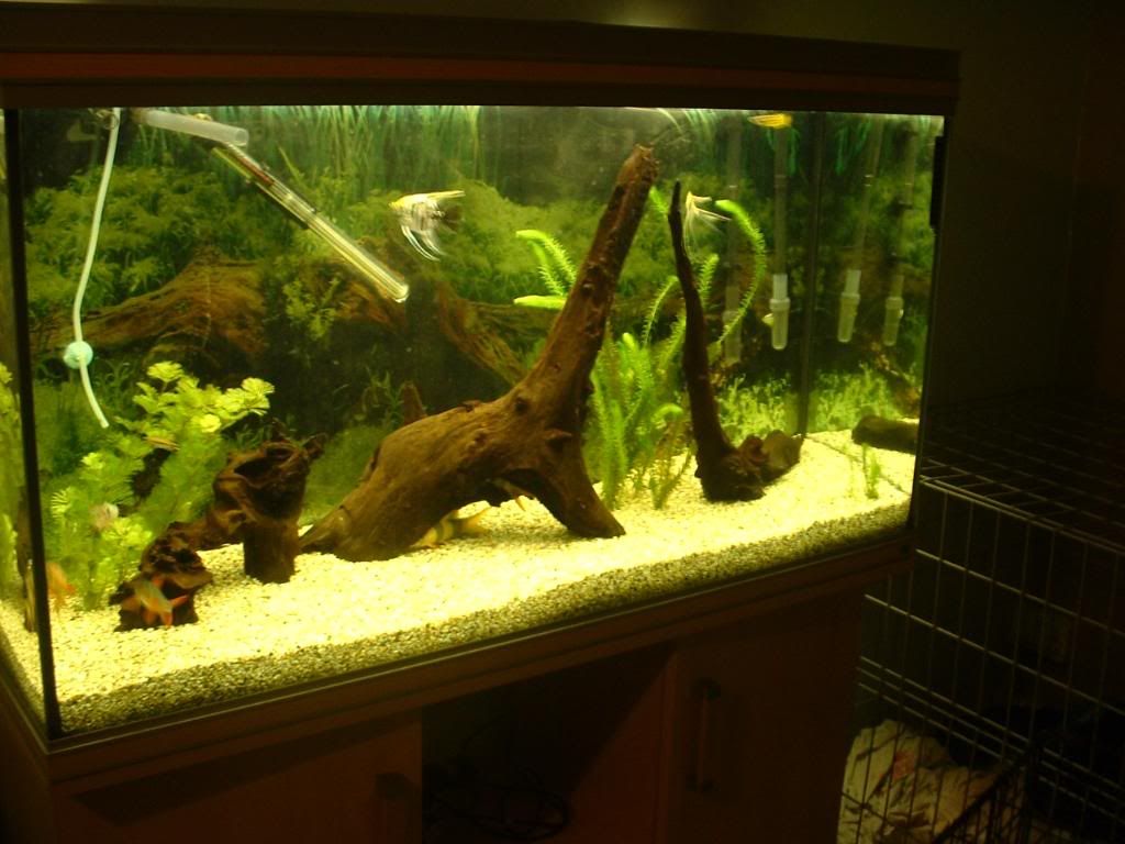 DSCF0092.jpg