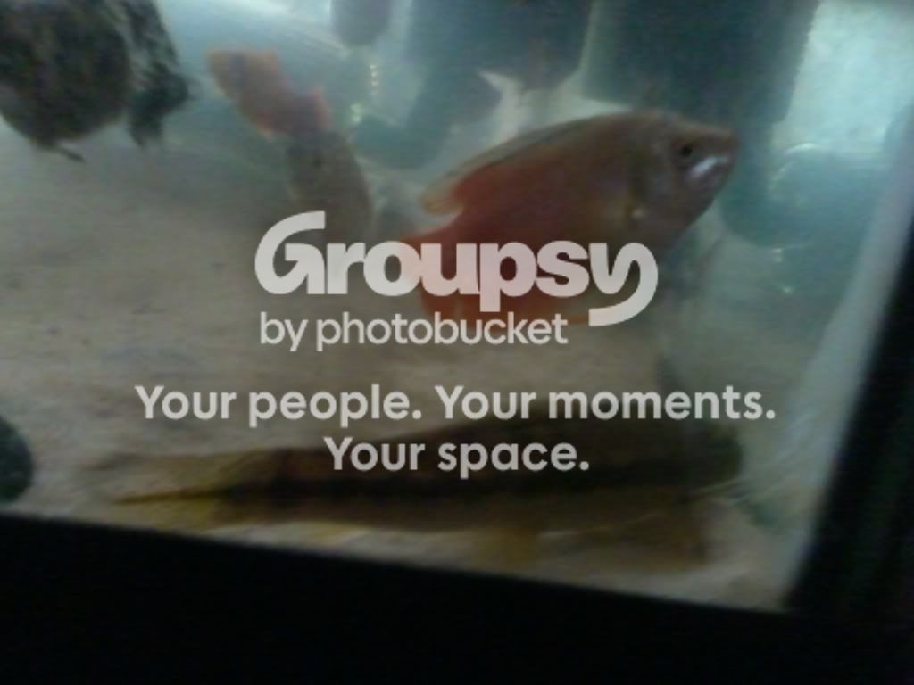 2011-01-23134858.jpg