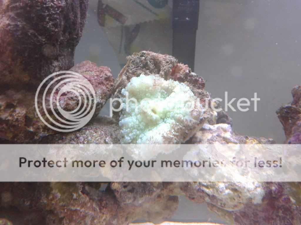 2012-07-28101342.jpg