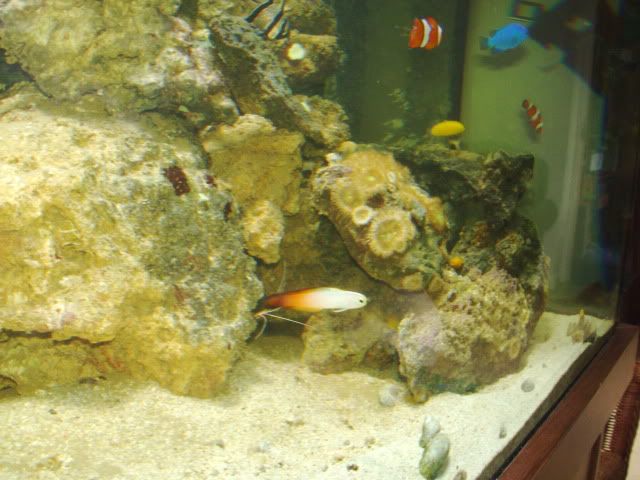 PICT00062.jpg