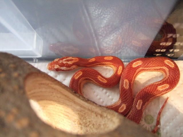 0805090061.jpg