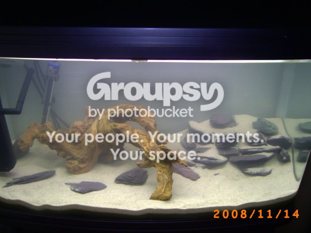 PICT0052.jpg