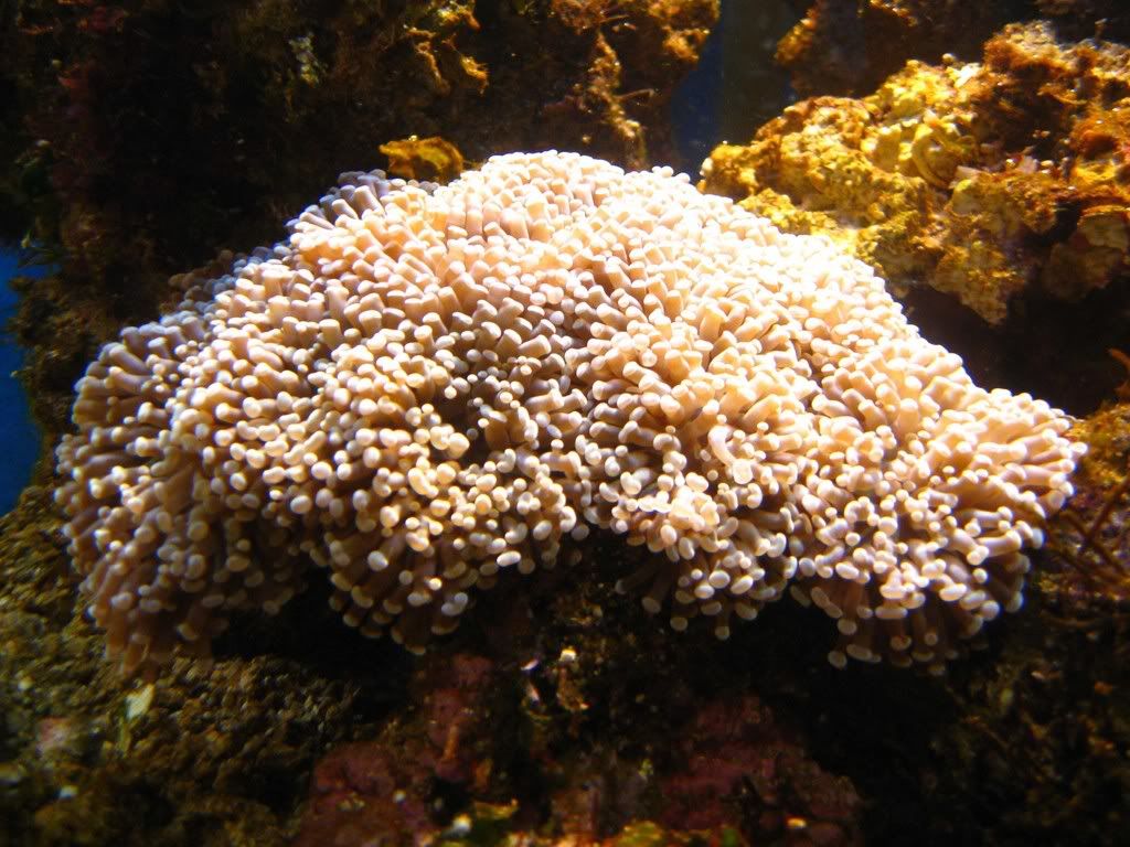 IMG_0469.jpg