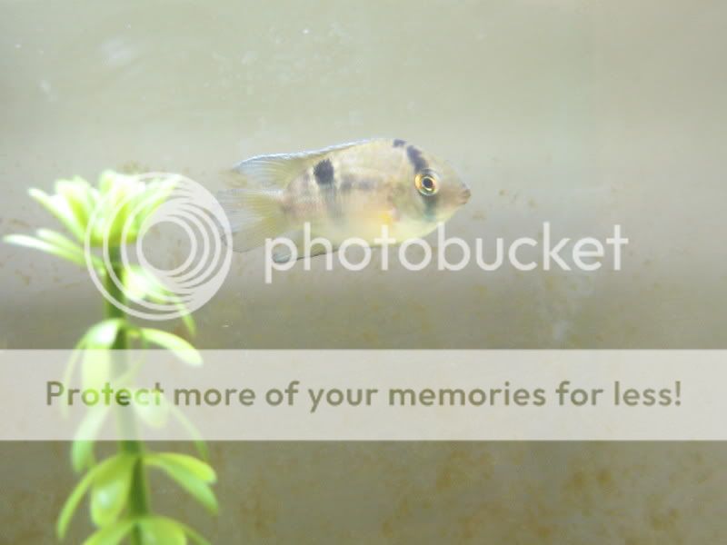 PictureorVideo324.jpg
