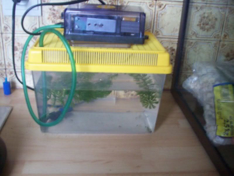100_1558.jpg